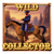 collector